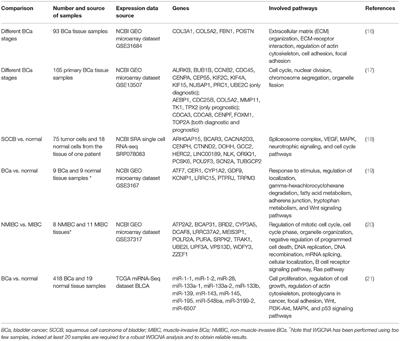 Emerging Biomarkers in Bladder Cancer Identified by Network Analysis of Transcriptomic Data